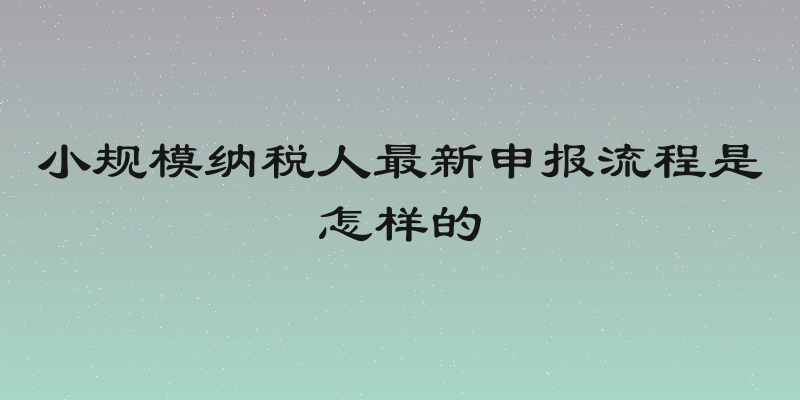 小规模纳税人最新申报流程是怎样的