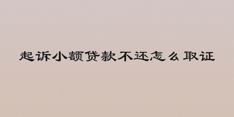 起诉小额贷款不还怎么取证