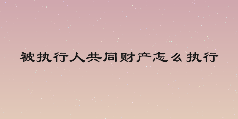 被执行人共同财产怎么执行
