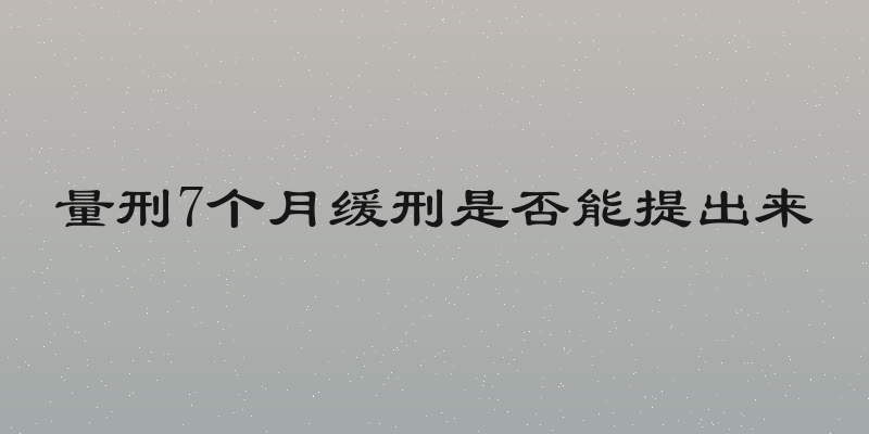 量刑7个月缓刑是否能提出来
