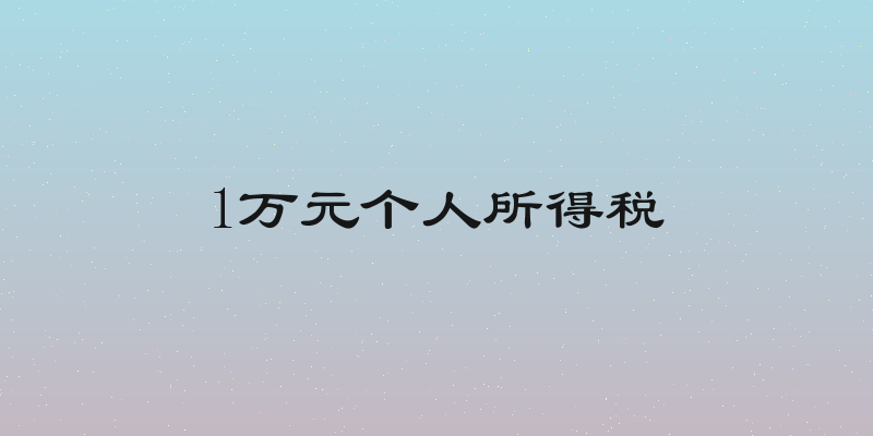 1万元个人所得税