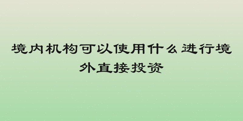 境内机构可以使用什么进行境外直接投资