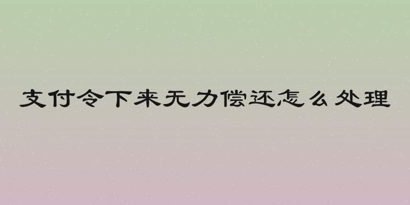 支付令下来无力偿还怎么处理