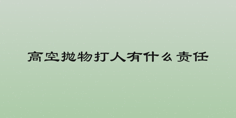 高空抛物打人有什么责任