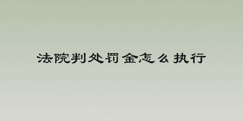 法院判处罚金怎么执行