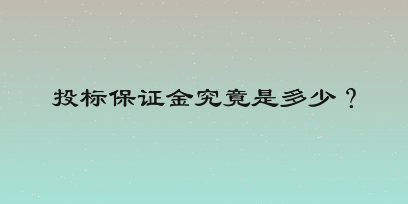 投标保证金究竟是多少？
