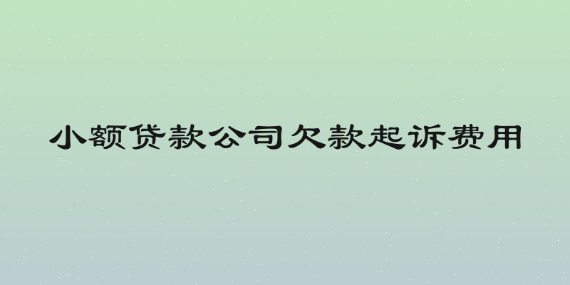 小额贷款公司欠款起诉费用