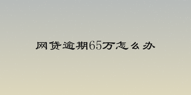 网贷逾期65万怎么办