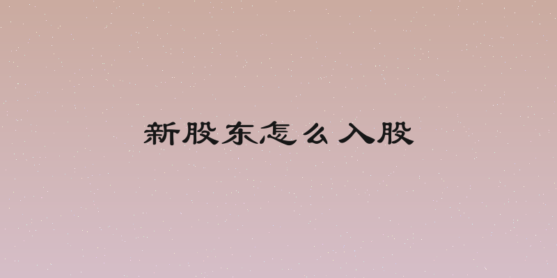 新股东怎么入股