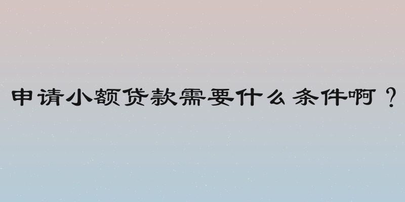 申请小额贷款需要什么条件啊？