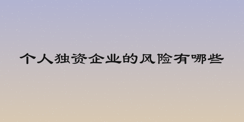 个人独资企业的风险有哪些