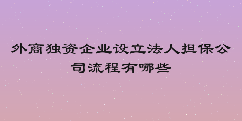 外商独资企业设立法人担保公司流程有哪些