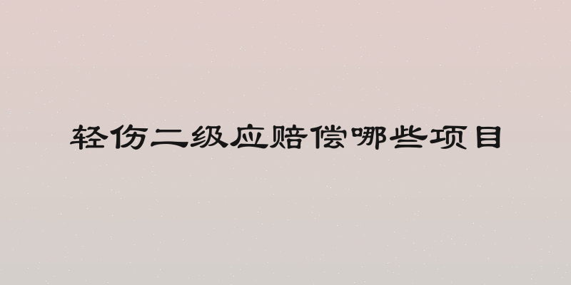 轻伤二级应赔偿哪些项目