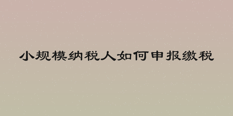 小规模纳税人如何申报缴税