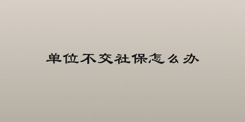 单位不交社保怎么办