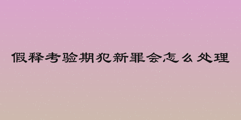 假释考验期犯新罪会怎么处理