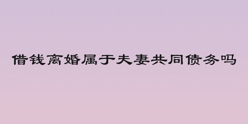 借钱离婚属于夫妻共同债务吗
