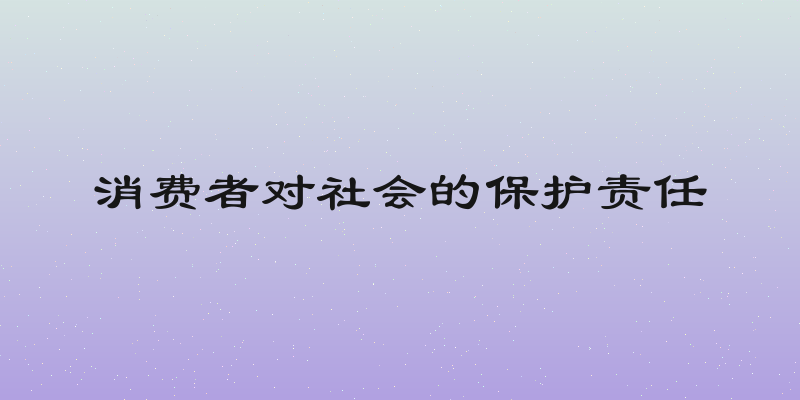 消费者对社会的保护责任