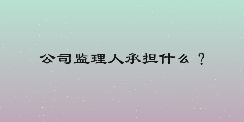 公司监理人承担什么？