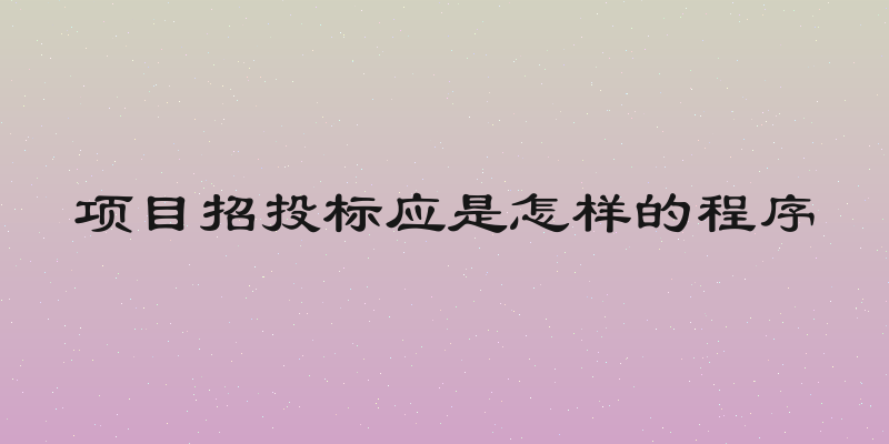 项目招投标应是怎样的程序