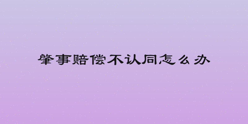 肇事赔偿不认同怎么办