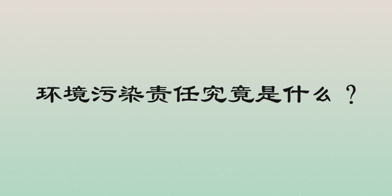 环境污染责任究竟是什么？
