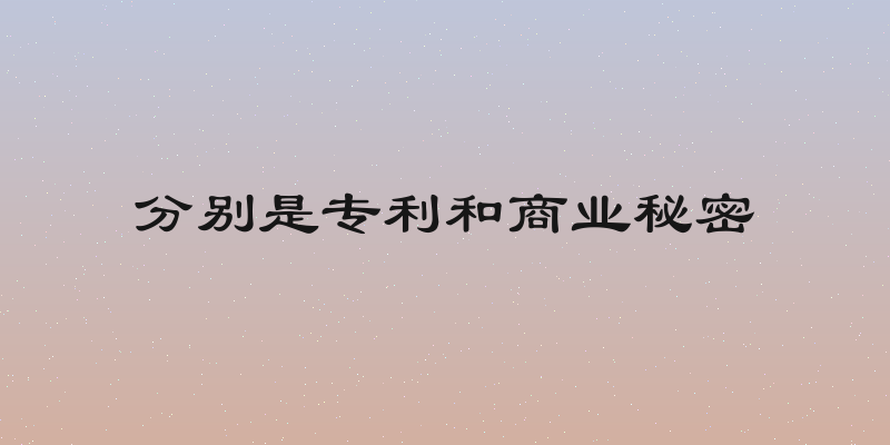 分别是专利和商业秘密