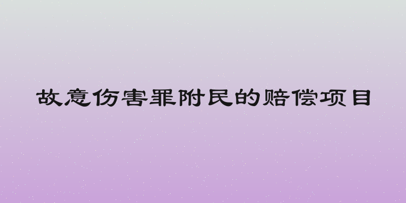 故意伤害罪附民的赔偿项目