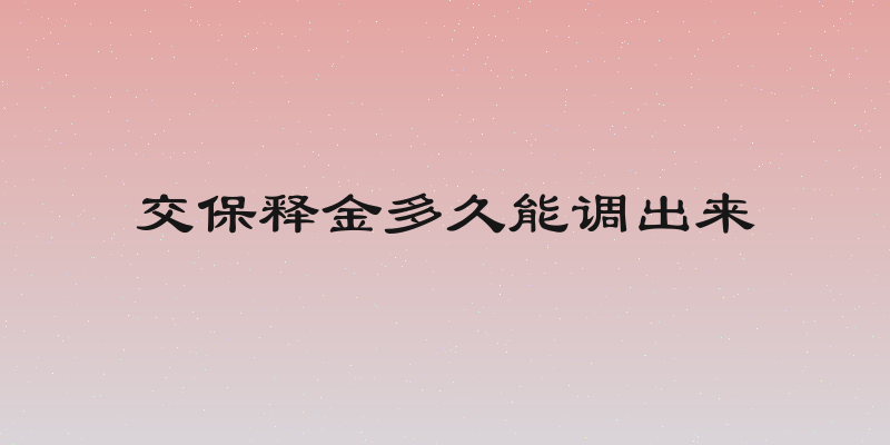 交保释金多久能调出来