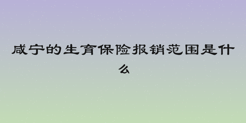 咸宁的生育保险报销范围是什么