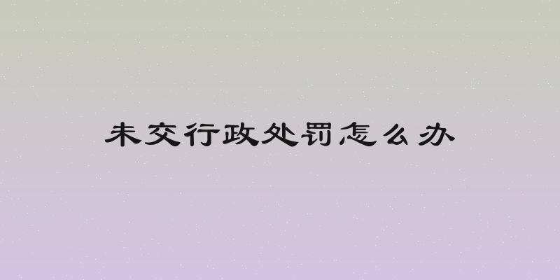 未交行政处罚怎么办
