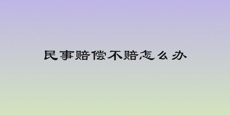 民事赔偿不赔怎么办