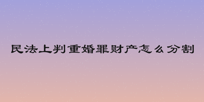 民法上判重婚罪财产怎么分割