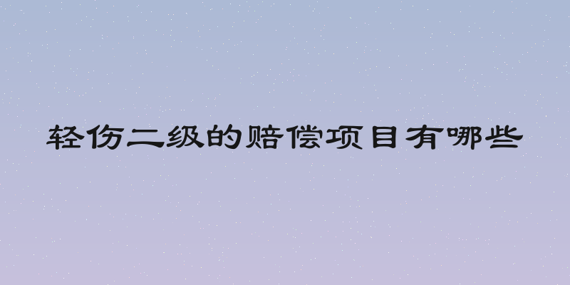 轻伤二级的赔偿项目有哪些