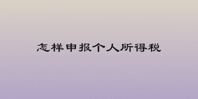 怎样申报个人所得税