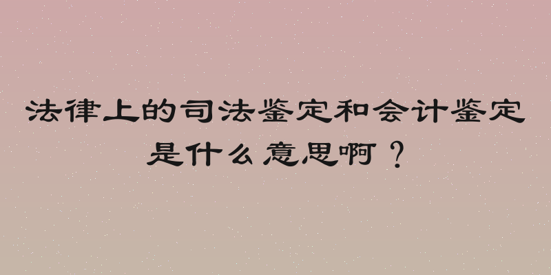 法律上的司法鉴定和会计鉴定是什么意思啊？