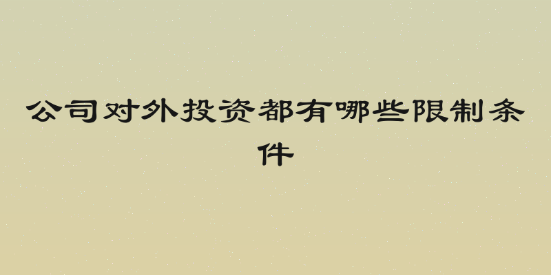 公司对外投资都有哪些限制条件
