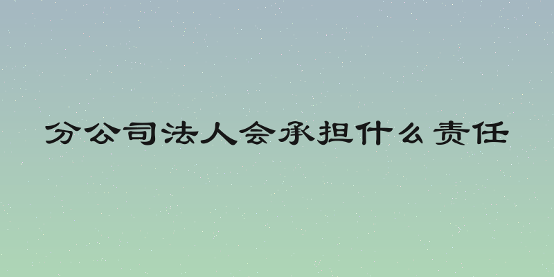 分公司法人会承担什么责任