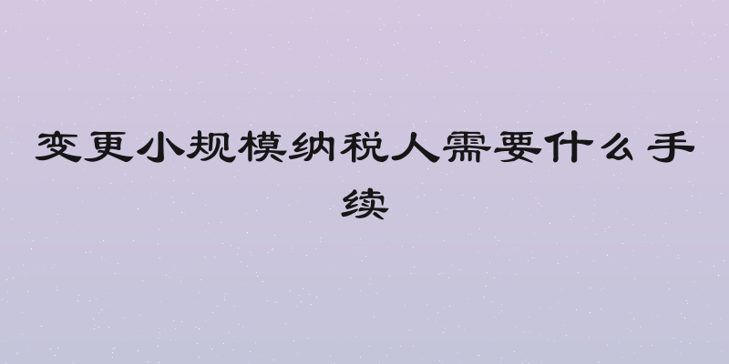变更小规模纳税人需要什么手续