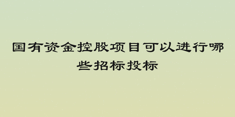 国有资金控股项目可以进行哪些招标投标