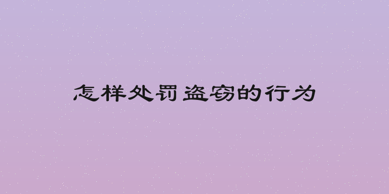 怎样处罚盗窃的行为