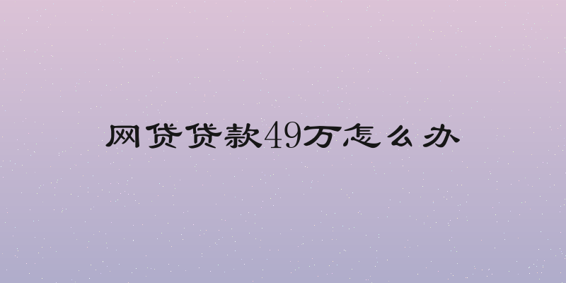网贷贷款49万怎么办