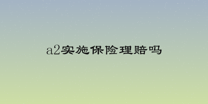 a2实施保险理赔吗