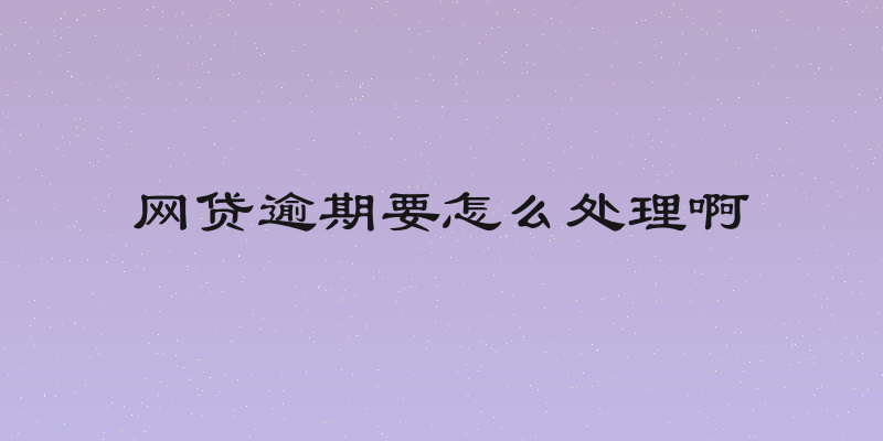 网贷逾期要怎么处理啊