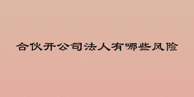 合伙开公司法人有哪些风险