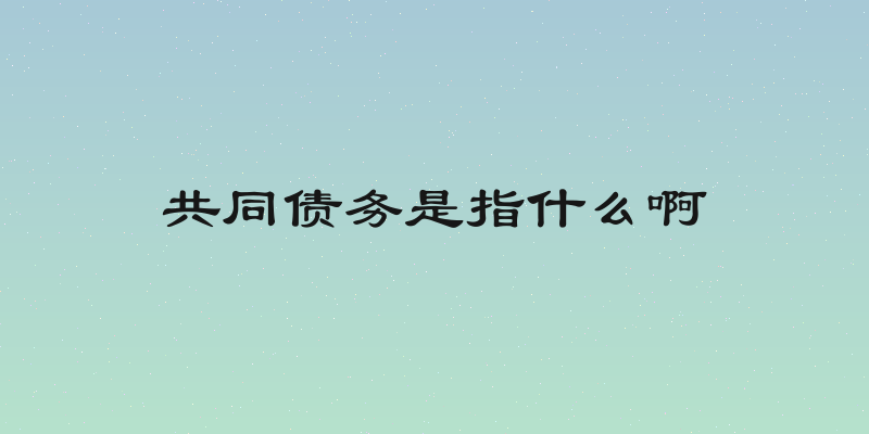 共同债务是指什么啊