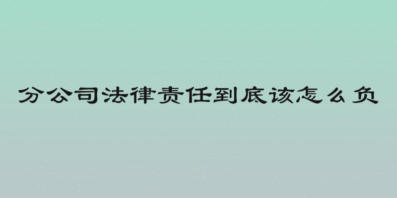 分公司法律责任到底该怎么负
