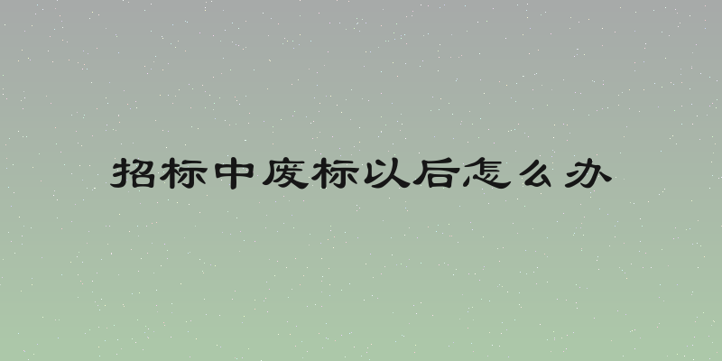 招标中废标以后怎么办