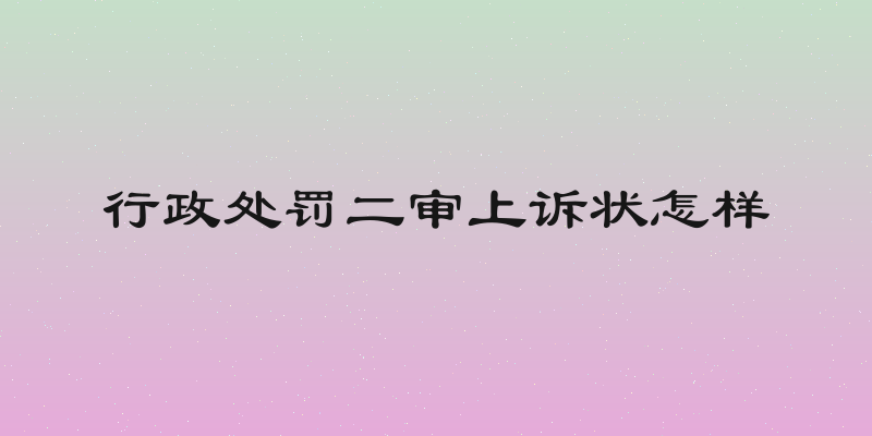 行政处罚二审上诉状怎样