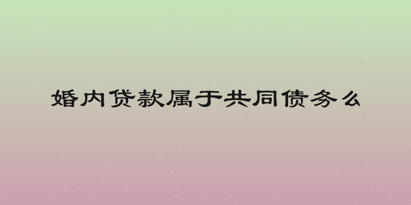 婚内贷款属于共同债务么